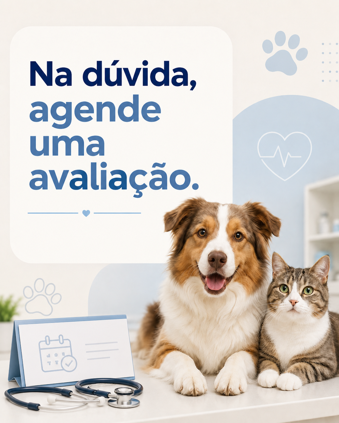Arte com cachorro e gato: na dúvida, agende uma avaliação