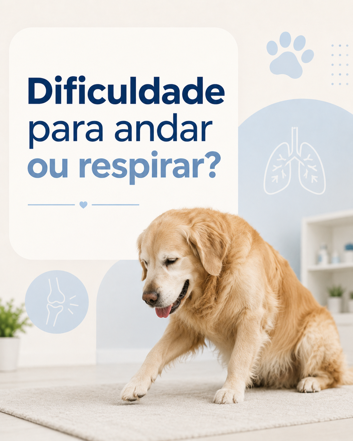 Arte com cachorro: dificuldade para andar ou respirar