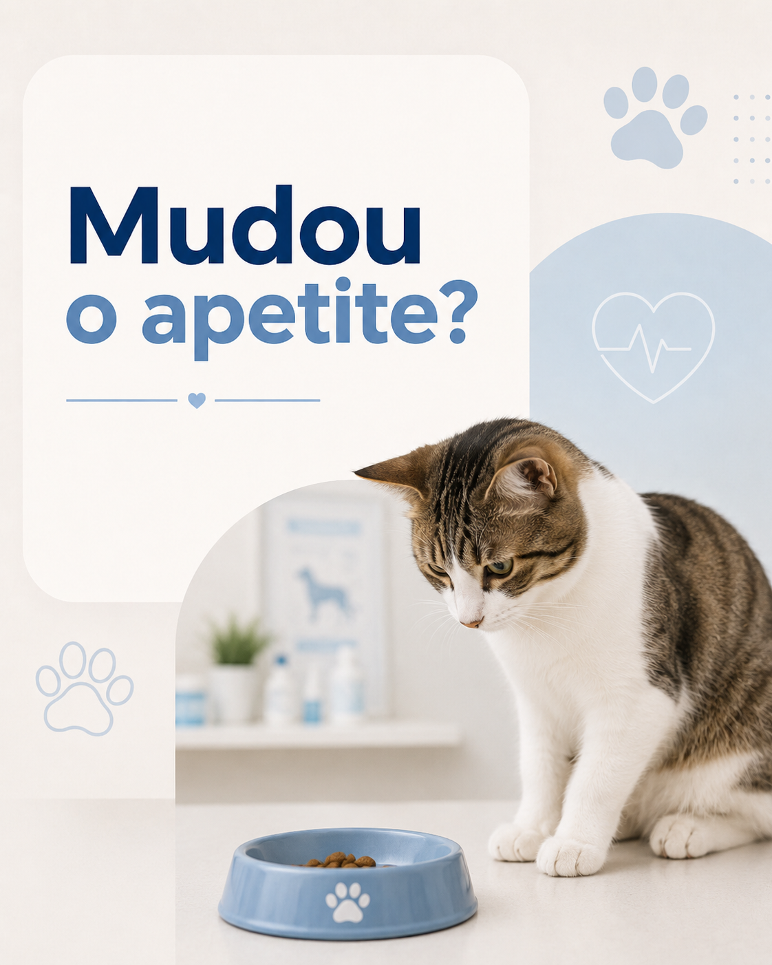 Arte com gato: mudou o apetite