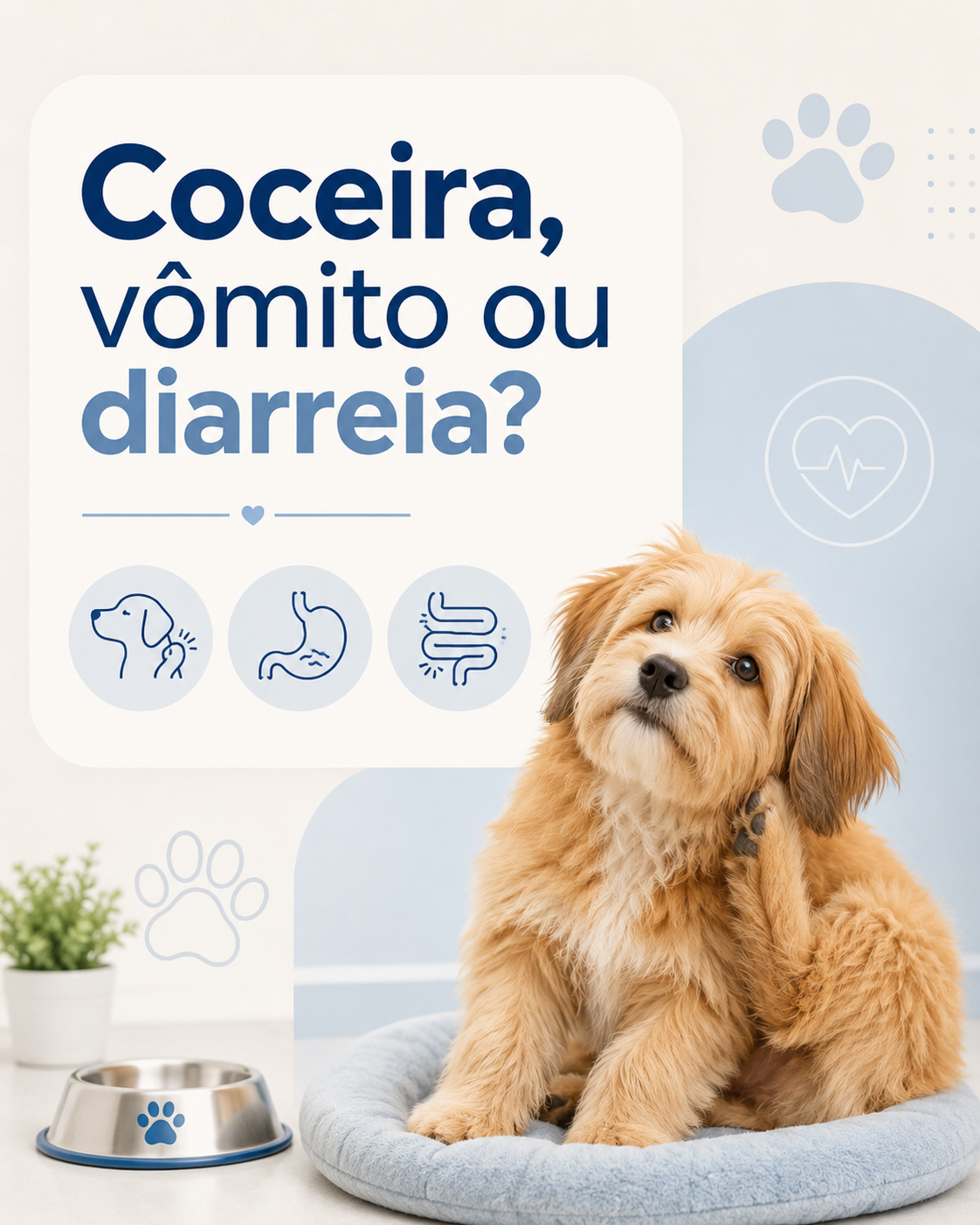 Arte com cachorro: coceira, vômito ou diarreia