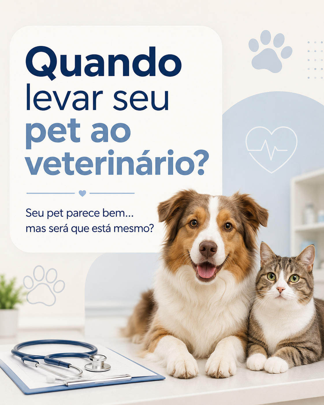Arte com cachorro e gato: quando levar seu pet ao veterinário