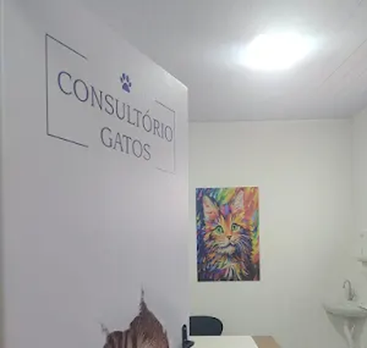 Área de recepção do consultório de gatos