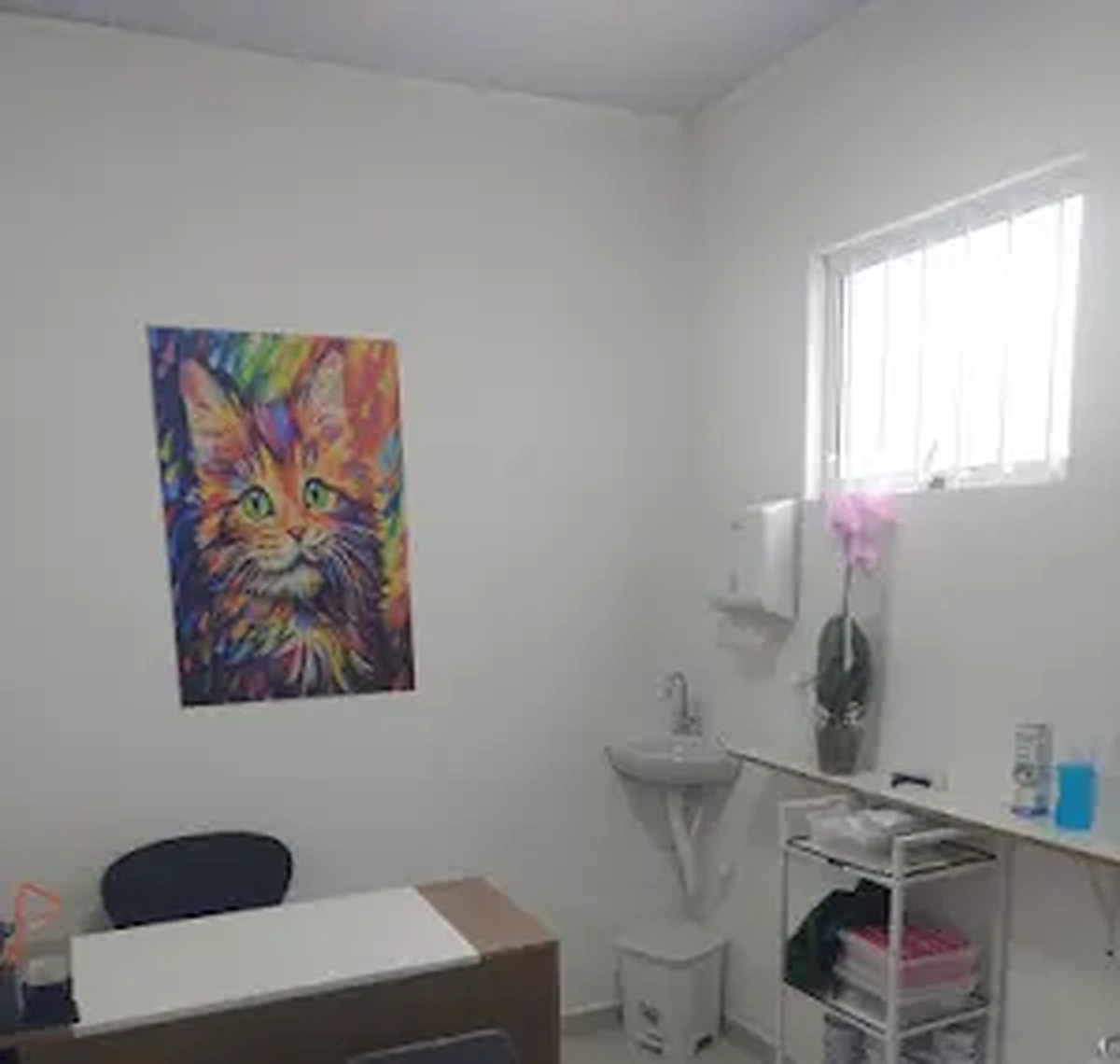 Consultório destinado ao atendimento de gatos