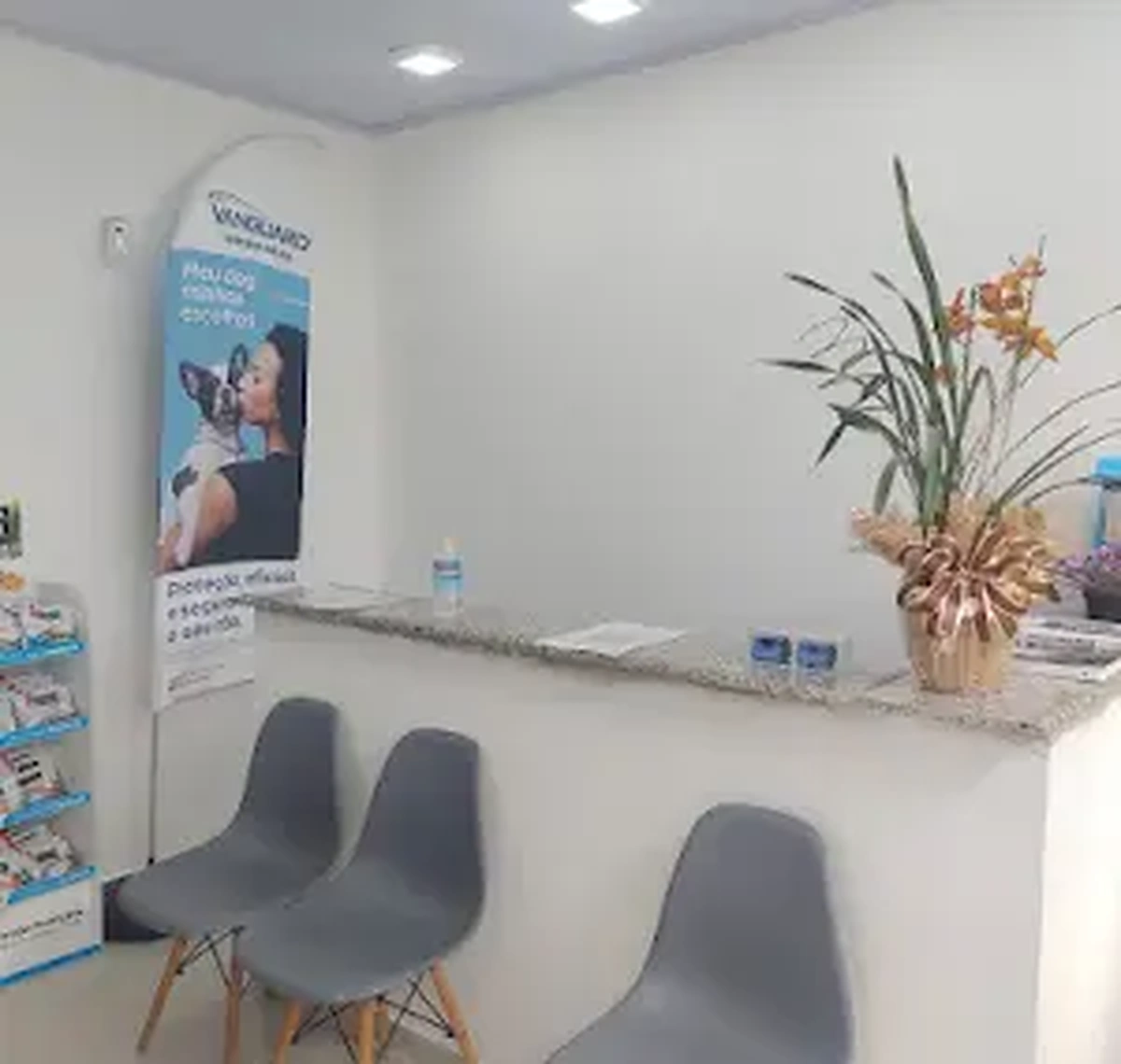 Recepção da clínica Home Pet
