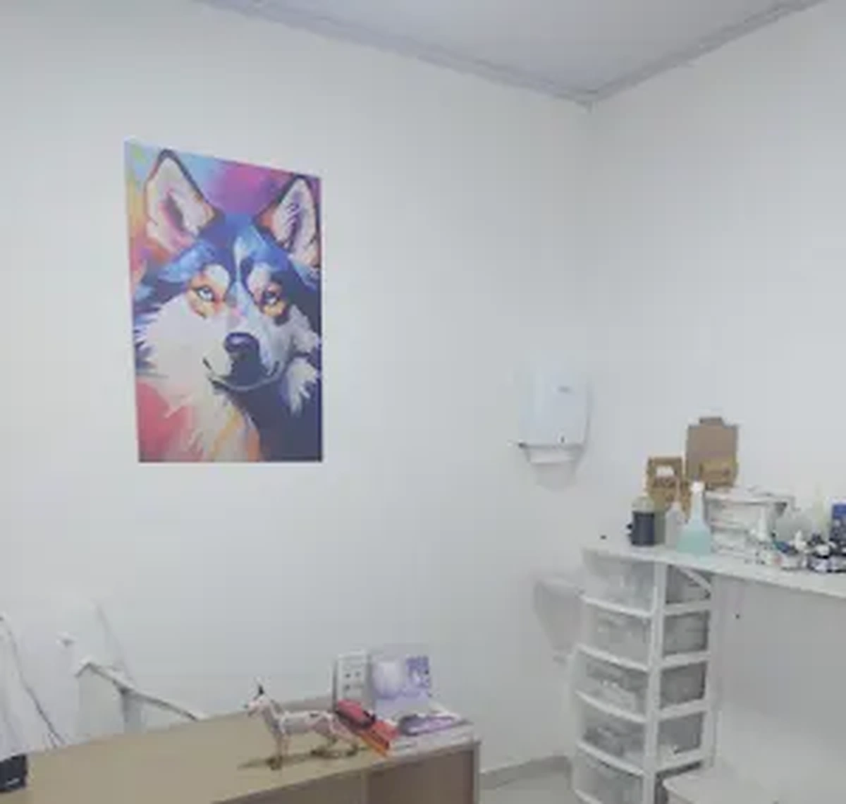 Sala preparada para atendimento veterinário